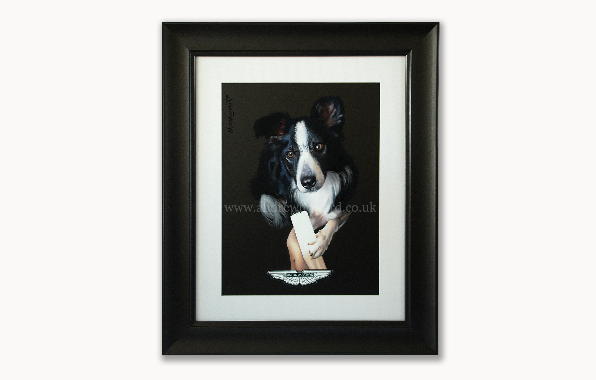 Andrew Howard Art - Border collie dog oil painting