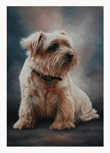 Andrew Howard Art - Portraits of Dogs'