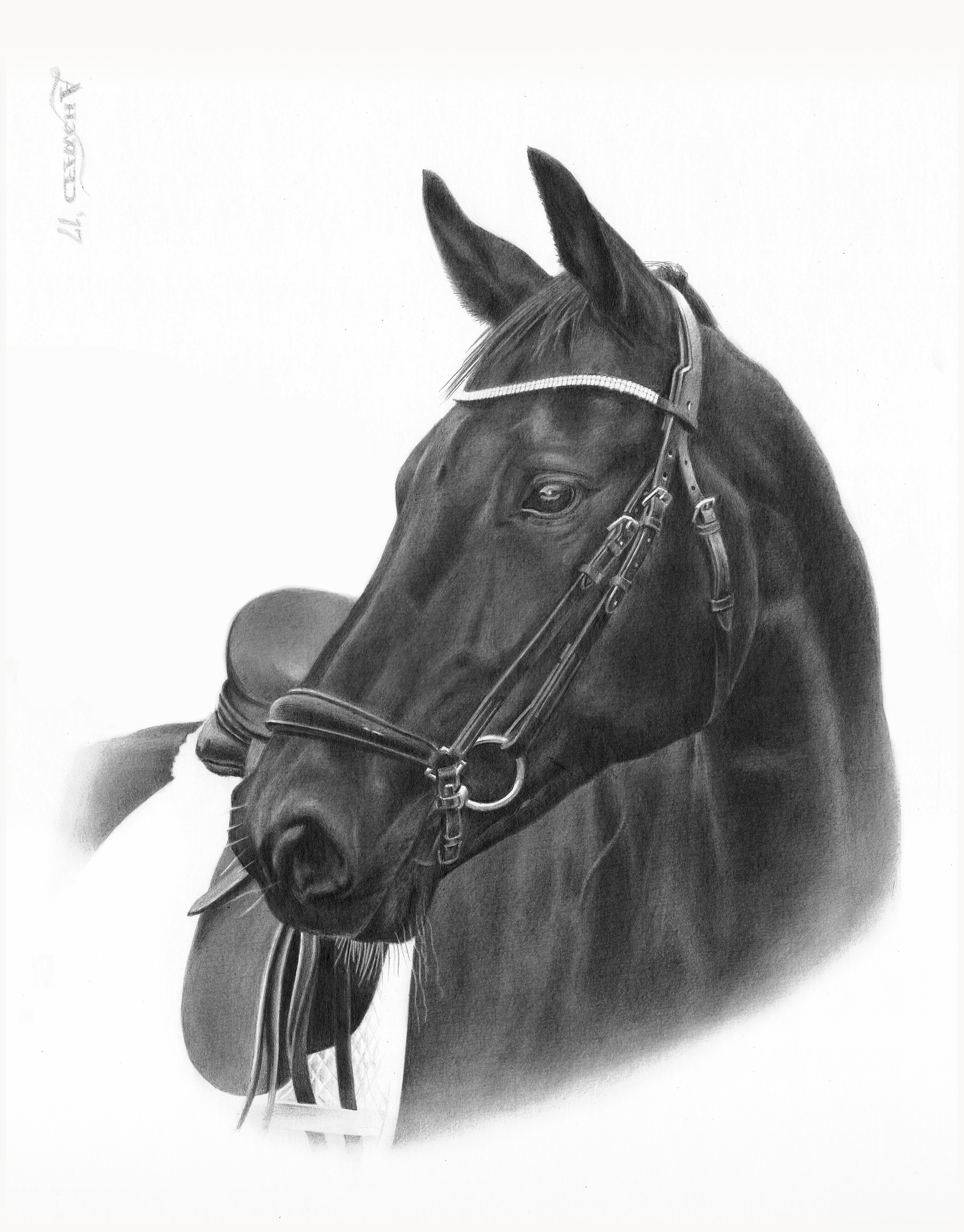 Sparkling Mary scan