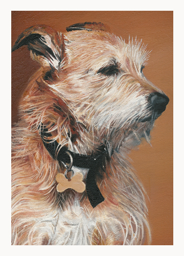Andrew Howard Art - Border Terrier Cross
