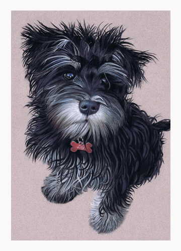 Andrew Howard Art - 'Lily', pastel dog portrait